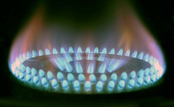 inconvenientes domésticos